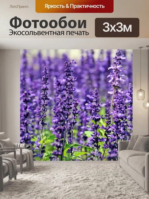 Фотообои Лаванда
