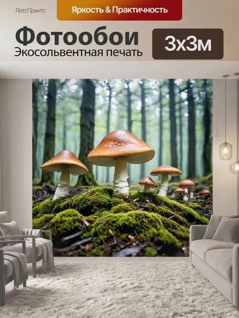 Фотообои группа мухоморов, укрытых легким туманом, создают волшебное зрелище