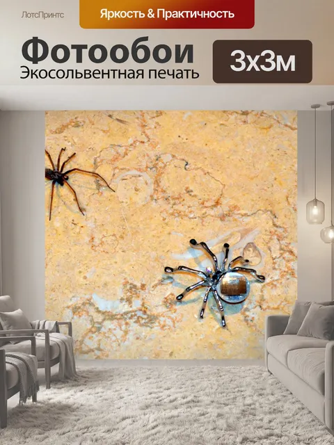 Фотообои Паук