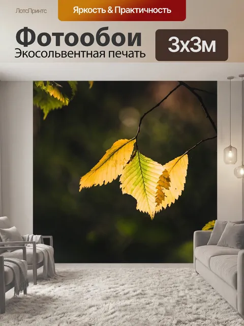 Фотообои Листья