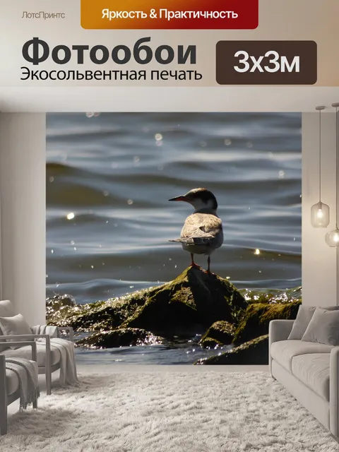 Фотообои Море