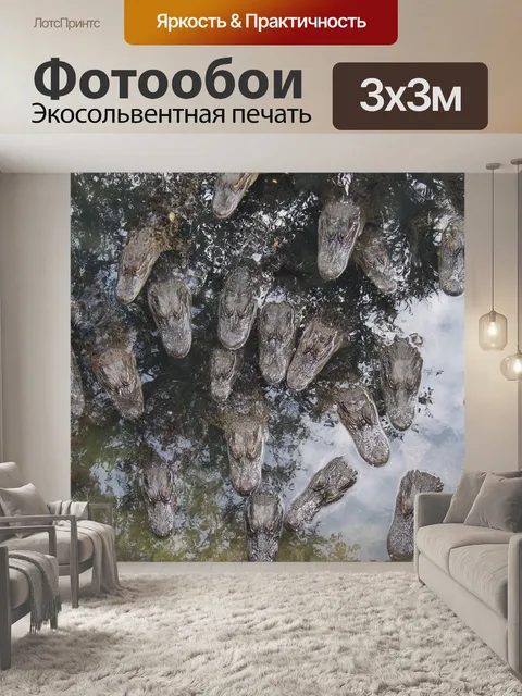 Фотообои Аллигаторы