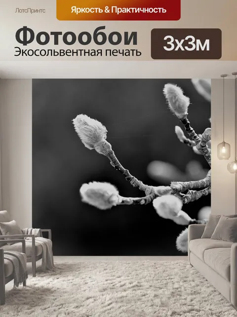 Фотообои Черно-белый