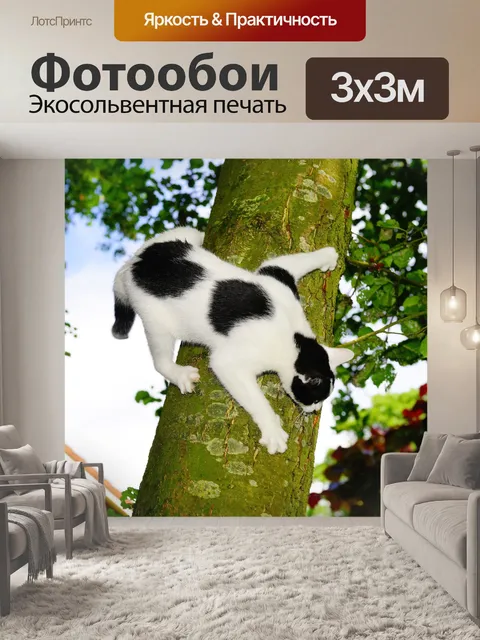 Фотообои Кот