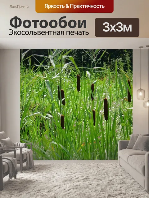 Фотообои Палка