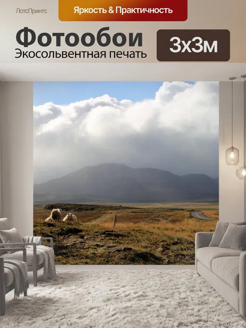 Фотообои Овцы пасутся в Исландии