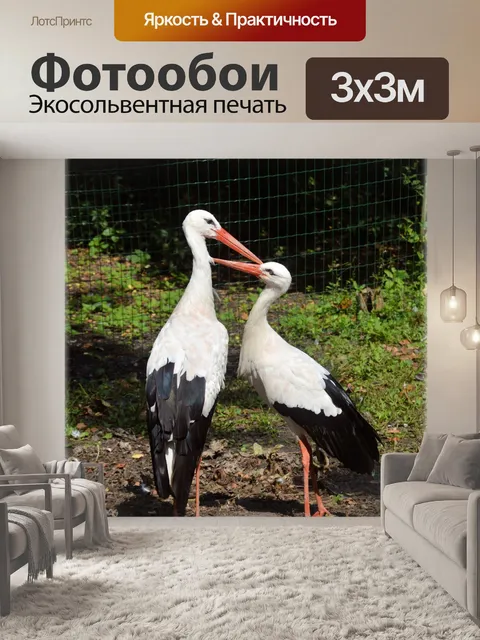 Фотообои Аист 5