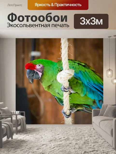 Фотообои большая зеленая ара