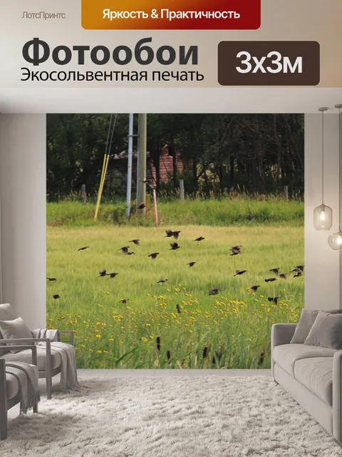 Фотообои Стая черных птиц