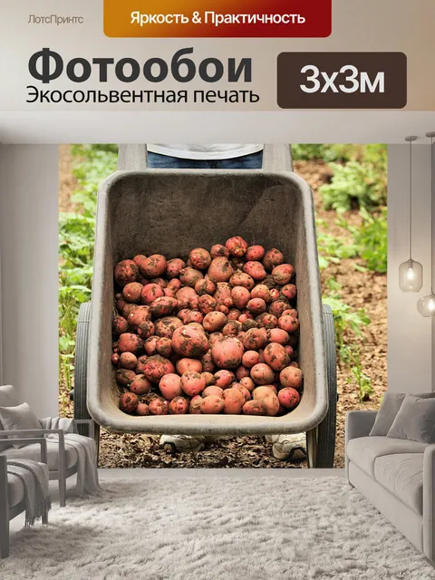 Фотообои Свежезаваренный картофель