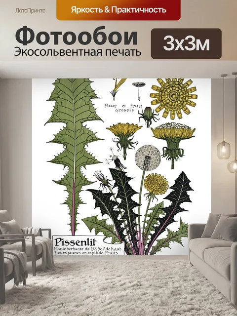 Фотообои Одуванчик Винтаж Ботаническое Искусство