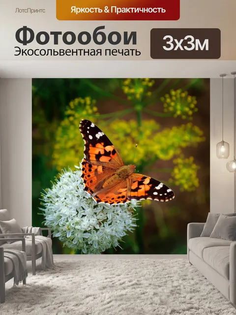 Фотообои Бабочка