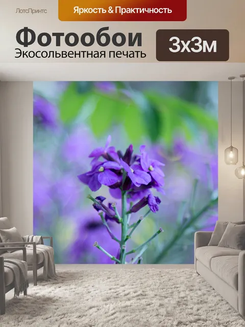 Фотообои Цветок