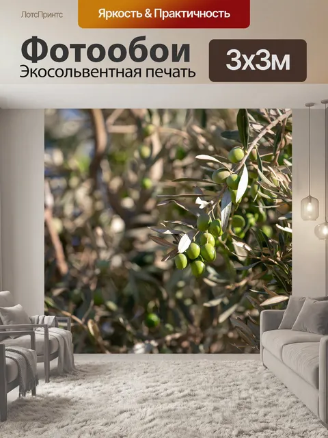 Фотообои Оливковый