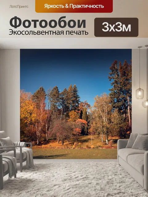 Фотообои Парк осенью