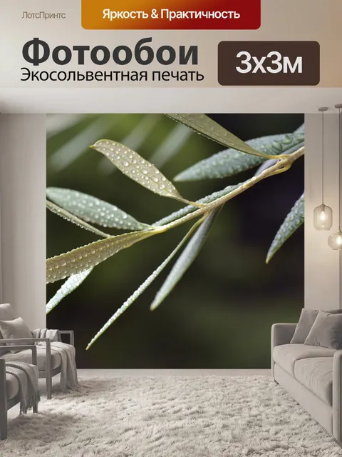 Фотообои Оливки лист