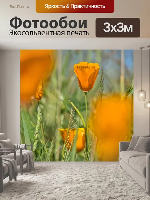 Фотообои Маки