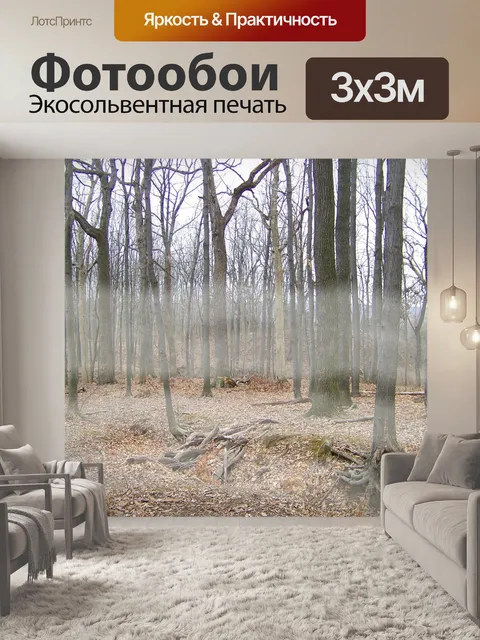 Фотообои Туман