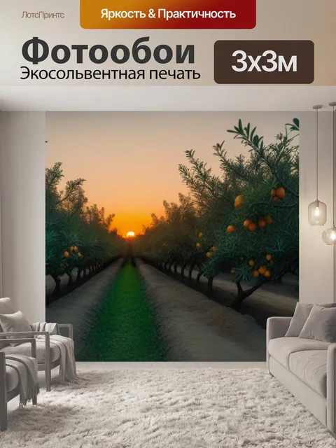 Фотообои апельсиновая роща на закате