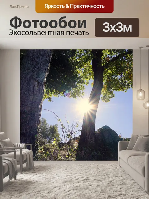 Фотообои Деревья