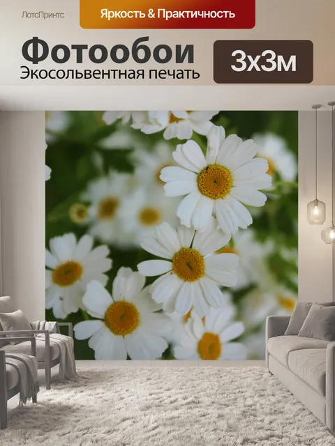 Фотообои Фоновые Ромашки