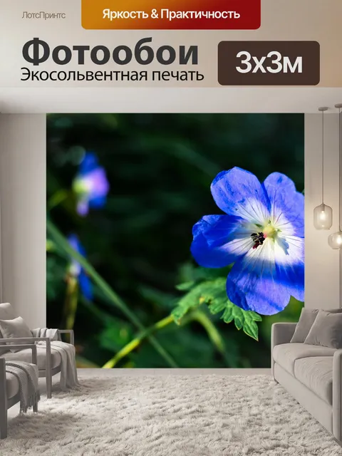 Фотообои Цветы