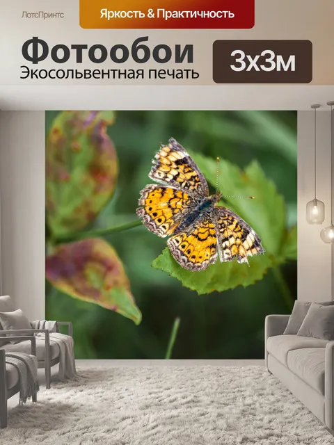 Фотообои Бабочка