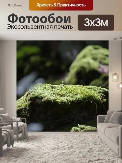 Фотообои Лес
