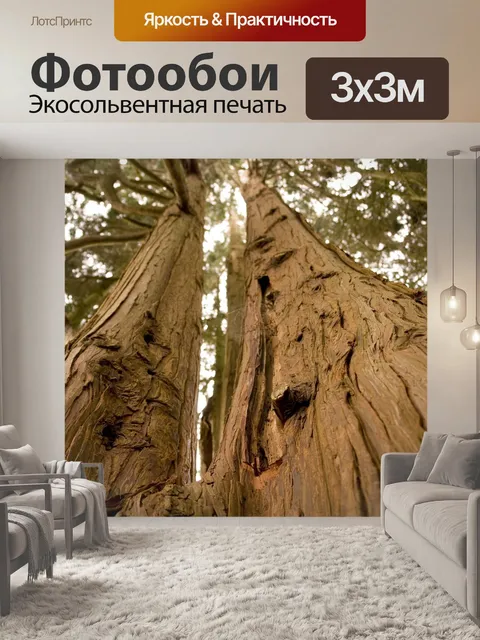 Фотообои Лес