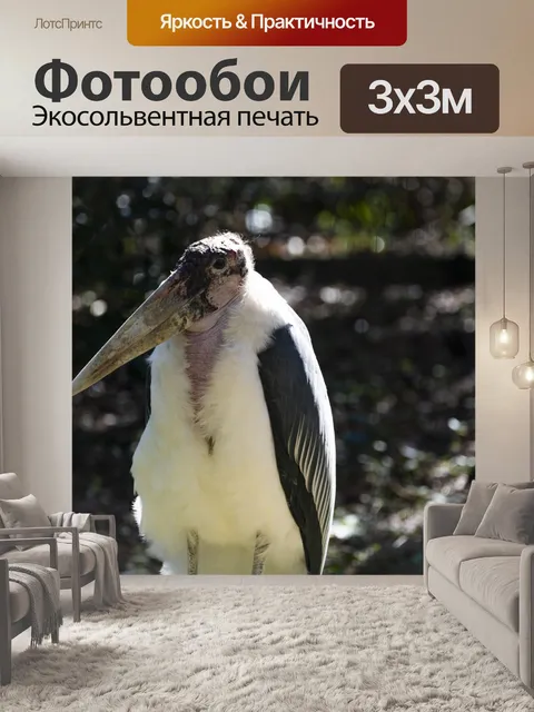 Фотообои белый аист