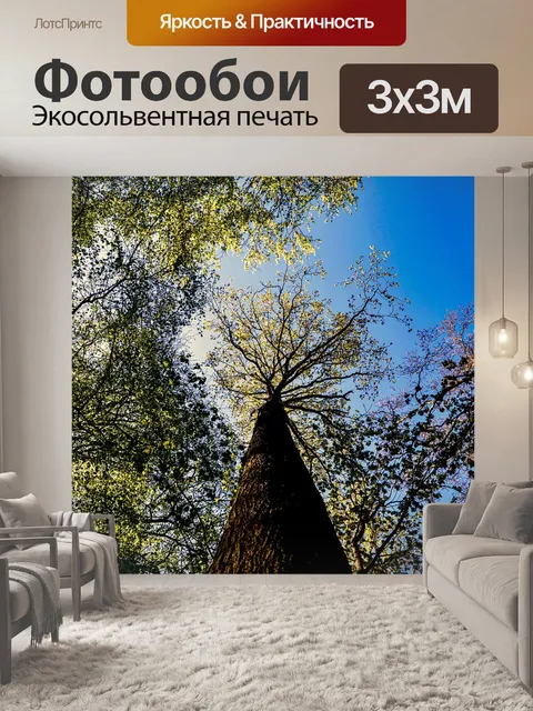 Фотообои Деревья