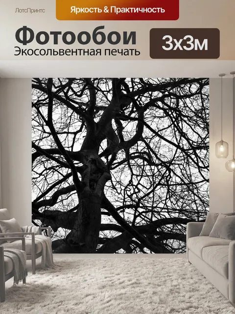 Фотообои Деревья без листьев