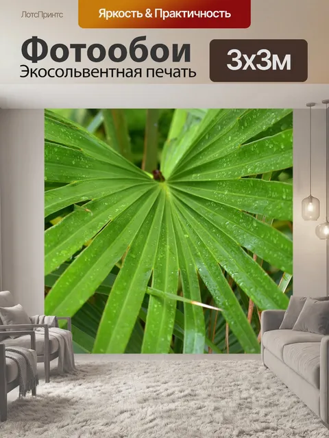 Фотообои Джунгли барабан листья