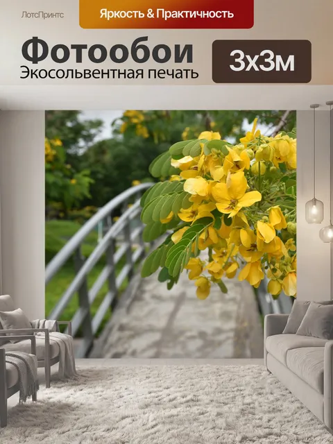 Фотообои Расцветает