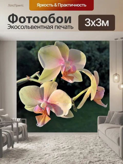 Фотообои Цветок
