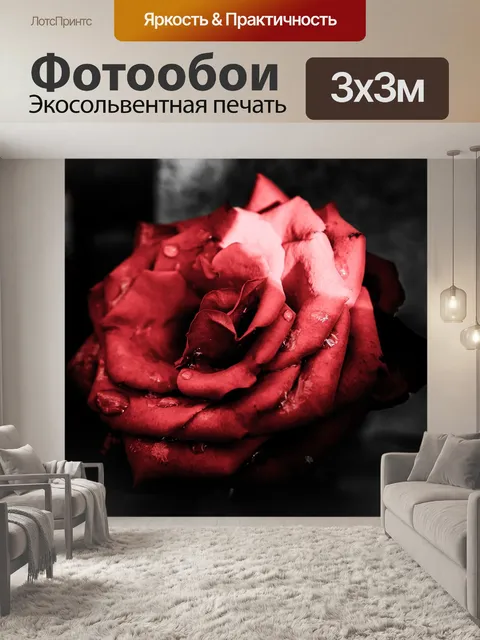 Фотообои Роза