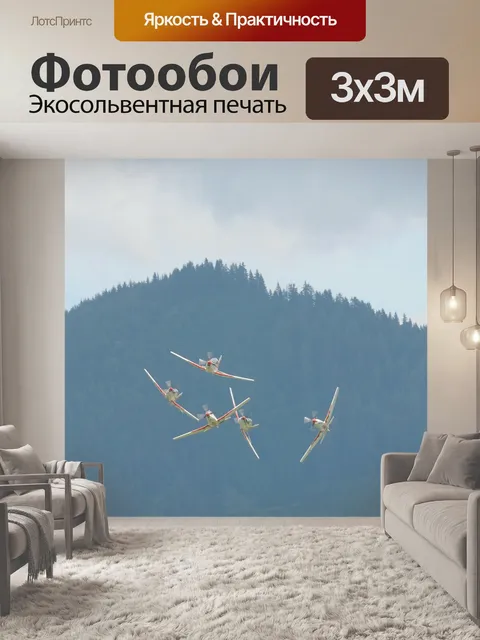 Фотообои Высший пилотаж