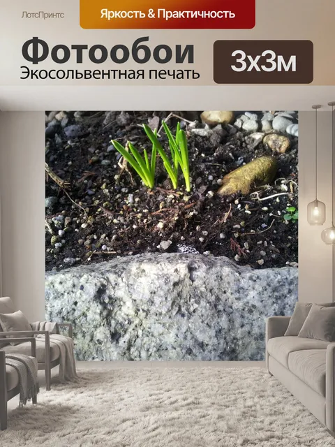 Фотообои Росток