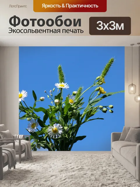 Фотообои Цветы