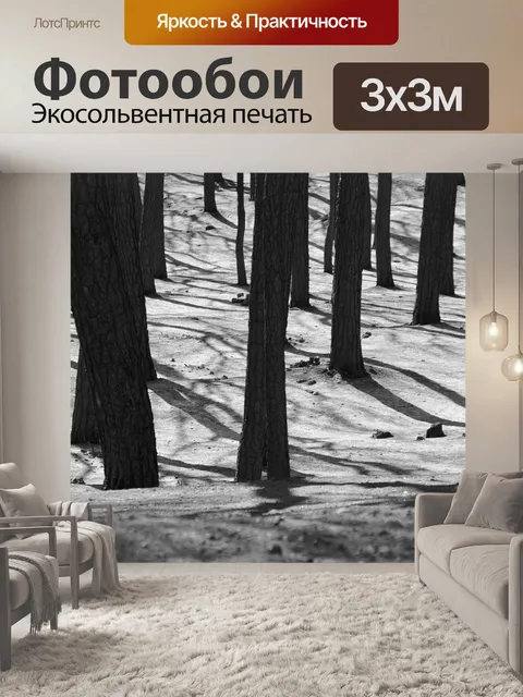 Фотообои Лес
