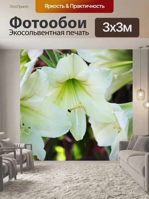 Фотообои белом фоне цветы