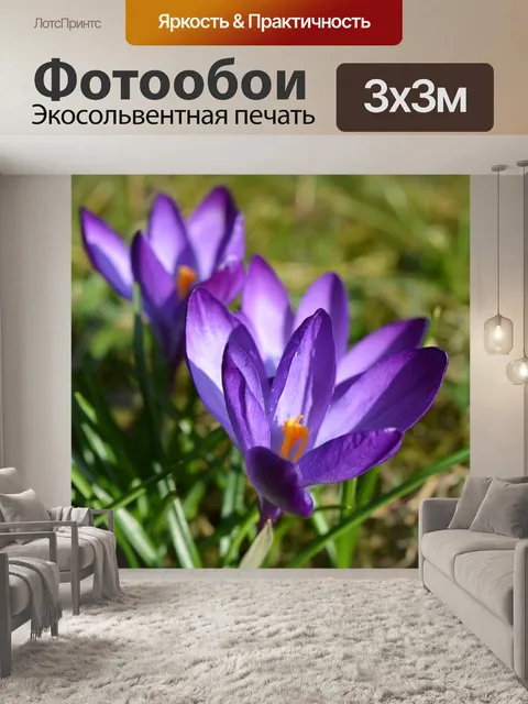 Фотообои Распустились крокусы.