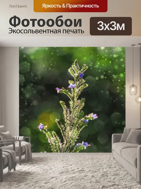 Фотообои Цветы