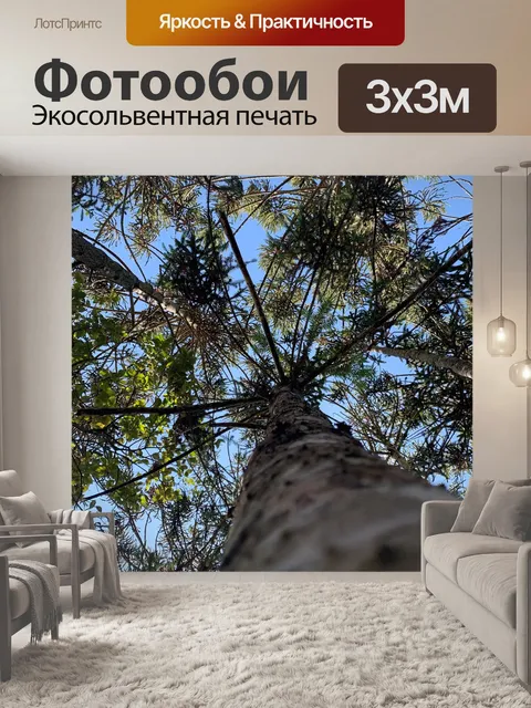Фотообои Дерево