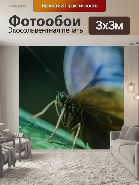 Фотообои Бабочка