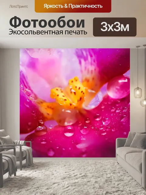 Фотообои Орхидея