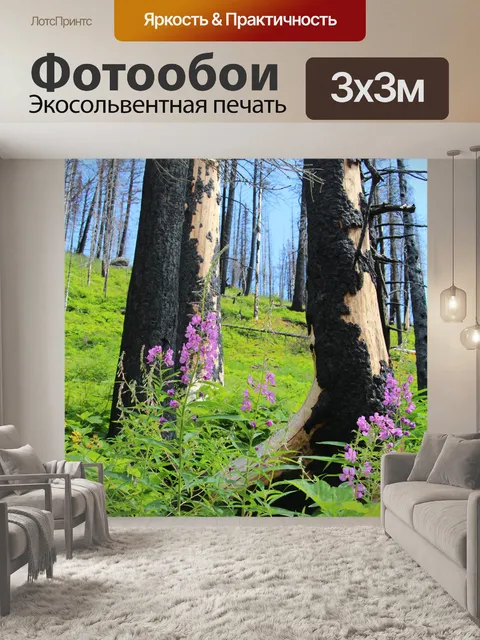 Фотообои Красивые цветы в лесу
