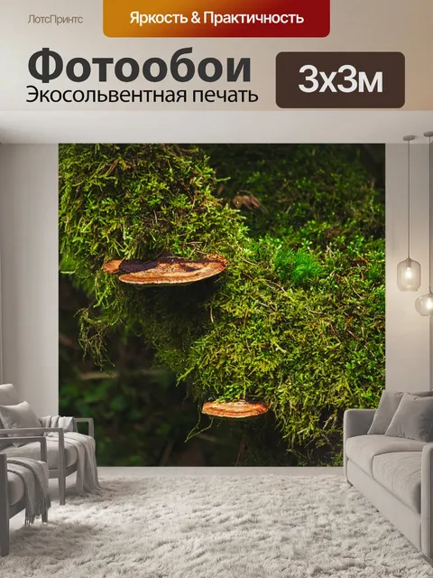 Фотообои Мох