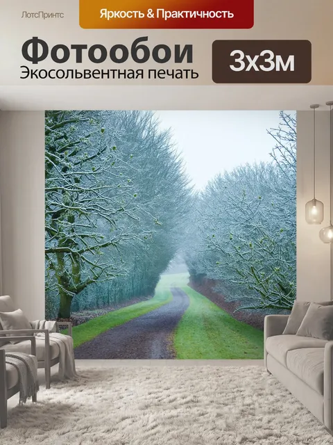 Фотообои запах зимних порывов - остролистные деревья и инеевые пустоши между тропами