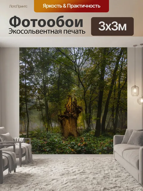 Фотообои Пейзаж